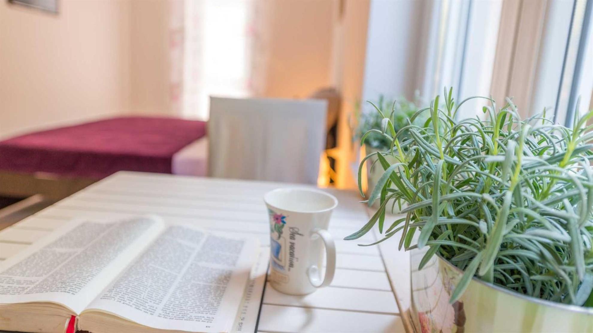 Betanija & Arijana Bayview Studio Apartments Dubrovnik Ngoại thất bức ảnh